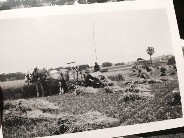 Là c'est la moisson, dans ce coin-là je pense aussi #Madeleineproject https://t.co/kbxZx8bkMd